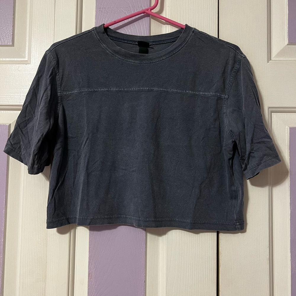 ‼️ Sold ‼️ Wild Fable crop tshirt